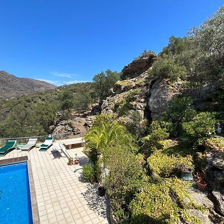 Apartamento Casaleo Harry - Roses / Costa Brava Exterior foto
