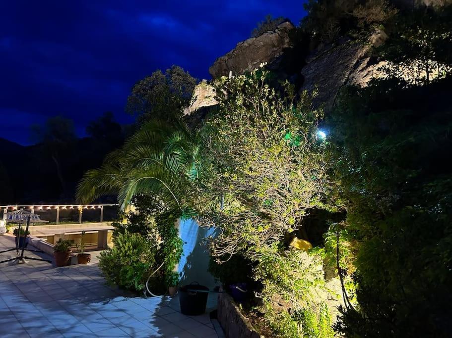 Apartamento Casaleo Harry - Roses / Costa Brava Exterior foto